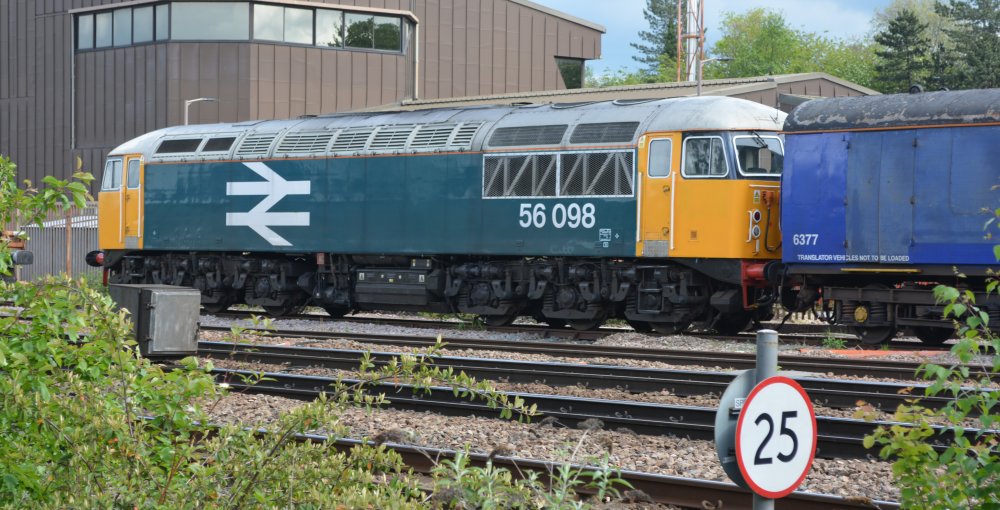 In the yard of UK Rail Leasing, Leicester, Class 56 diesel locomotive 56098 in BR livery and large iconic British Rail sign