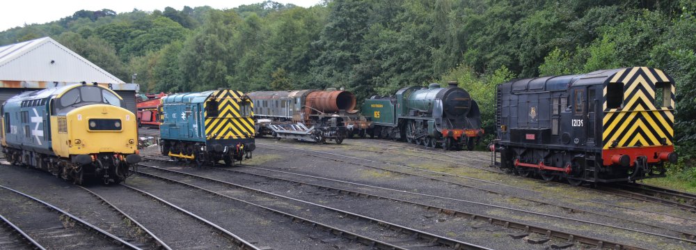 Class 11 diesel shunter 12139, and other steam and diesel locomotives in the yard of Grosmont locomotive depot on the North Yorkshire Moors Railway (Oct 2023).