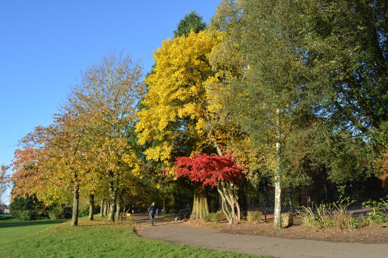 Knighton Park in Autumn, Leicester