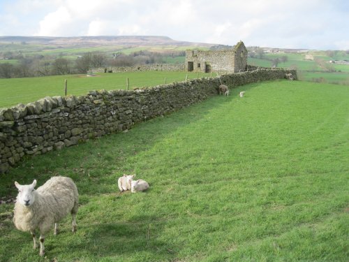  Circular walk from Carlton in Coverdale