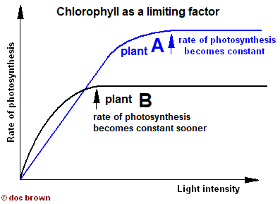 photosynthesis graph of rate versus intensity where chlorophyll is the limiting factor