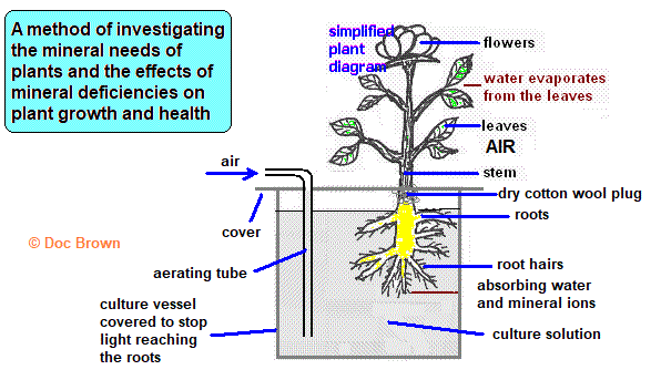 hydroponic method experiment investigating effects of mineral deficiencies in plants nitrates phosphates potassium magnesium iron gcse biology