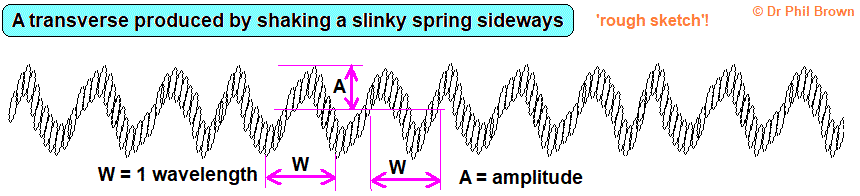 making a transverse wave by shaking a slinky spring from side to side gcse physics igcse