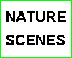NATURE SCENES - Natural History and Environment