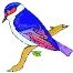 bird1.jpg