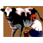 cow1.gif