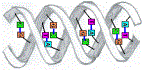 dnamini.gif