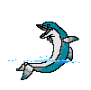 fish adaptations