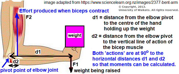 skeleton2.gif
