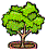 tree1.gif