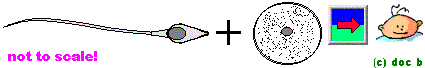 fusionbaby.gif