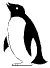 penguin1.gif