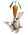 rabbit1.gif