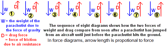 free body diagrams of forces for various stages of a falling parachutist