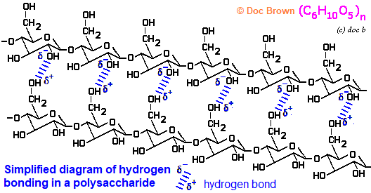hydrogen bonding in polysaccharides strarch cellulose