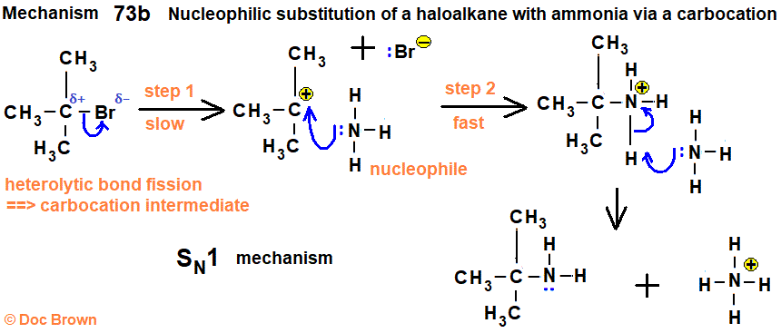 SN1 unimolecular nucleophilic substitution mechanism of 2-bromo-2-methylpropane reacting with ammonia to form a primary amine advanced organic chemistry revision notes doc brown