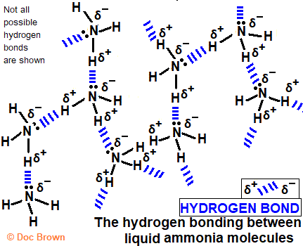 hydrogen bonding between ammonia molecules