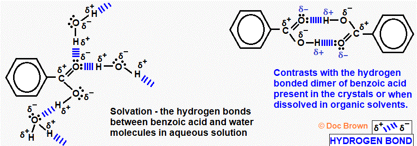 hydrogen bonding solvation of benzoic acid between water molecules in aqueous solution OR dimer formation solid benzoic acid or dissolved in organic solvent