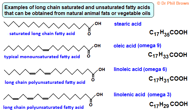 skeletal molecular structure of fatty acids saturated stearic acid unsaturated oleic acid linoleic acid linolenic acid advanced organic chemistry notes