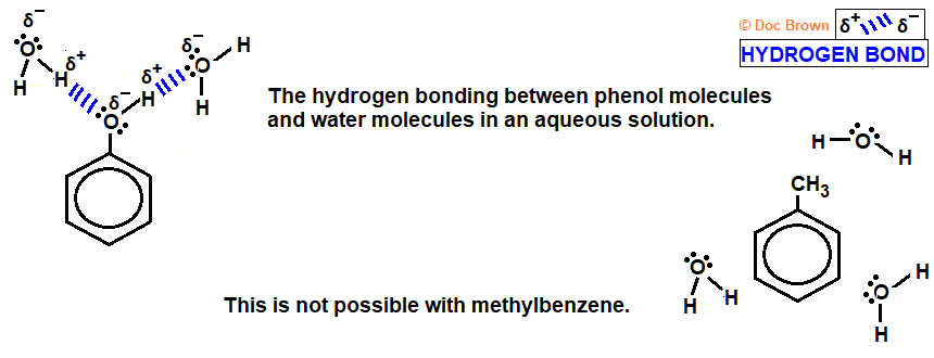 hydrogen bonding between phenol and water molecules intermolecular bonding forces