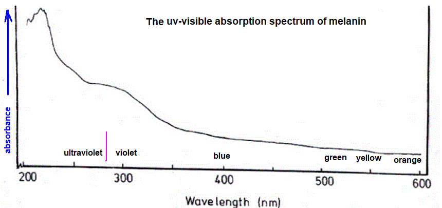 uv visible absorption spectrum of melanin skin pigment