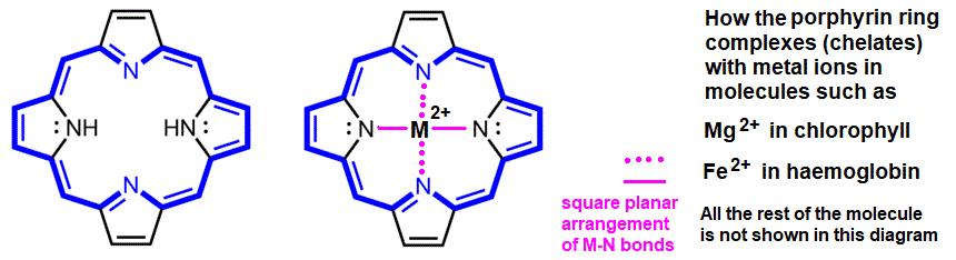 molecular structure of porphyrin ring in haemoglobin hemoglobin complex with iron(II) ion Fe2+