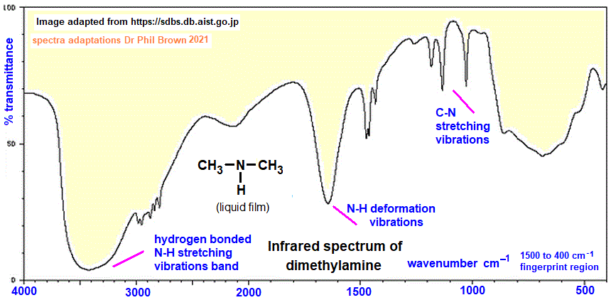 infrared spectrum of dimethylamine C2H7N CH3NHCH3 wavenumbers cm-1 functional group detection fingerprint pattern identification of N-methylmethanamine doc brown's advanced organic chemistry revision notes