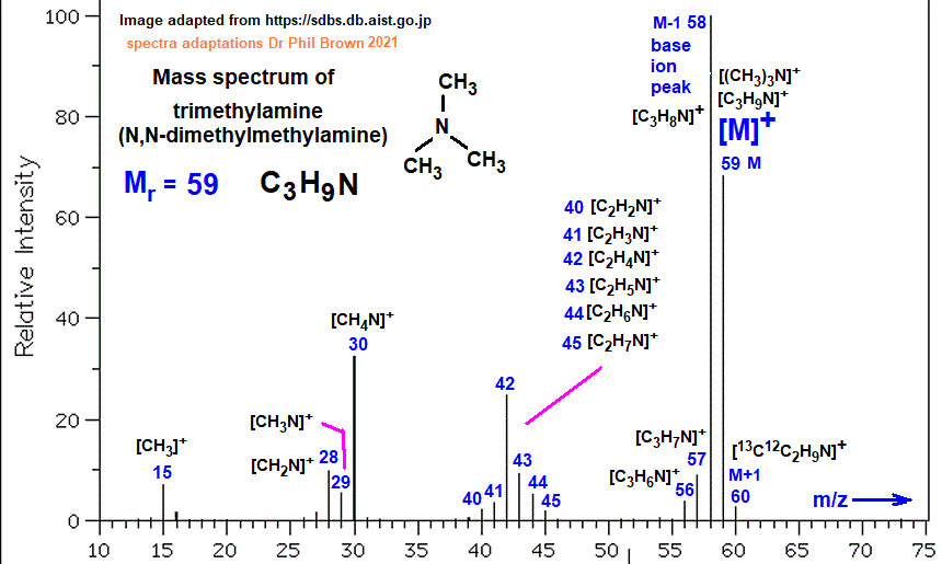 mass spectrum of N,N-dimethylmethanamine (trimethylamine) C3H9N (CH3)3N fragmentation pattern of m/z m/e ions for analysis and identification of N,N-dimethylmethylamine image diagram doc brown's advanced organic chemistry revision notes