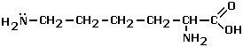 lysine (c) doc b