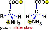 R/S isomers of the zwitterion form of an alpha amino acids optical isomerism