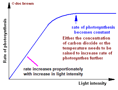 graph of rate of photosynthesis speed versus light intensity, shape of photosynthesis graph explained, limited by CO2 concentration or temperature too low
