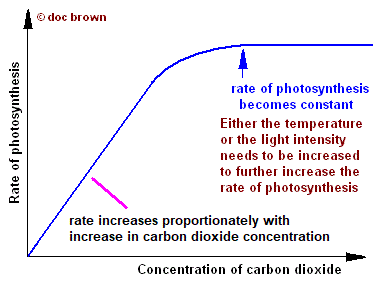 graph of rate of photosynthesis versus level of carbon dioxide concentration, shape of photosynthesis graph explained, limited by low light intensity or temperature to low