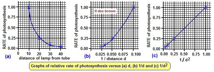 graphs of rate of photosynthesis versus light intensity